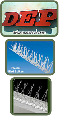 images-bird-spikes